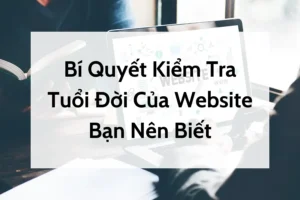 Bí Quyết Kiểm Tra Tuổi Đời Của Website Bạn Nên Biết