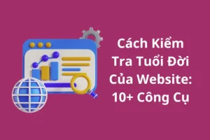 Bí Quyết Và Cách Kiểm Tra Tuổi Đời Của Website Bạn Nên Biết