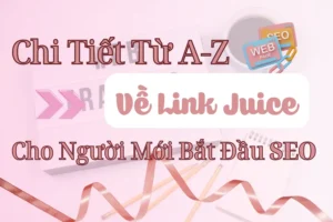 Chi Tiết Từ A - Z Về Link Juice Cho Người Mới Bắt Đầu SEO