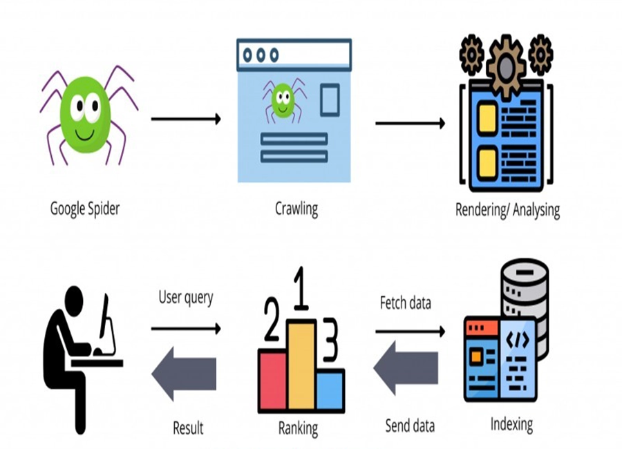 Crawl, Render và Index - các bước thu thập và sắp xếp dữ liệu