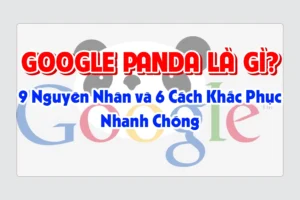 Google Panda Là Gì? 9 Nguyên Nhân và 6 Cách Khắc Phục Nhanh Chóng