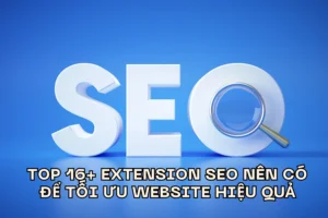 Top 16+ Extension SEO Nên Có để Tối Ưu Website Hiệu Quả